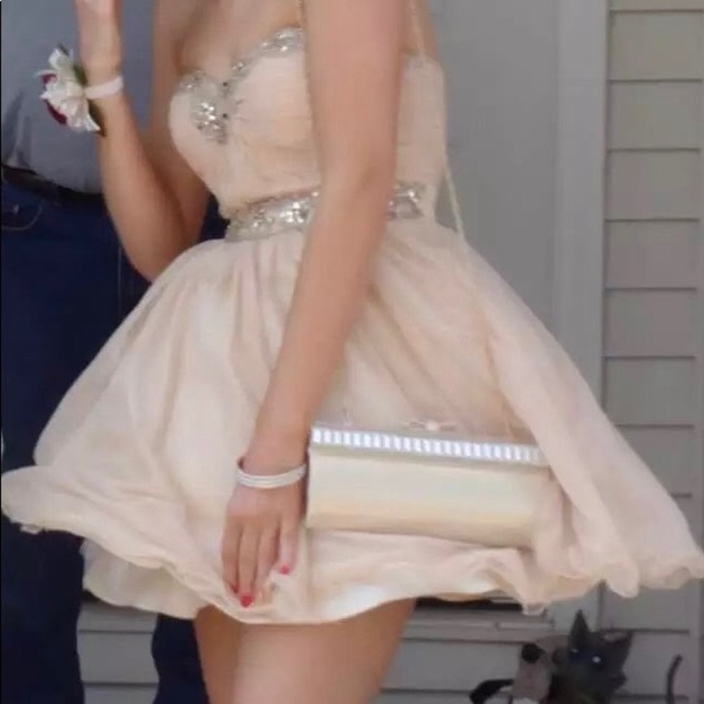 Bee Darlin’ Homecoming Gown